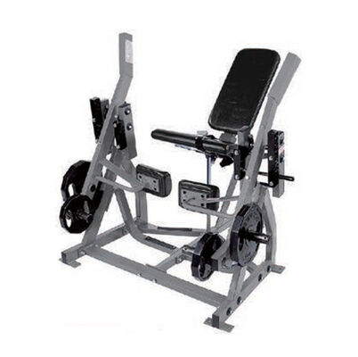 Calidad Guía Iso Brazo Pierna Curl Máquina U+H1027 Ergonómica Posición Múltiple Pro Nivel Fábrica