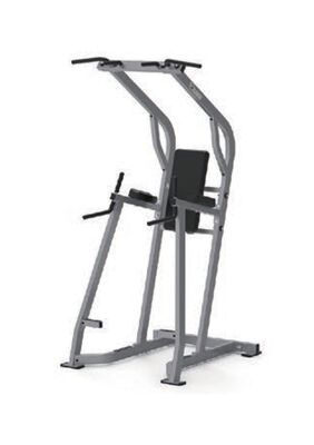Quality Attaching Pull Up, Dip, Leg Raise Station U+H1050 Gym Ready Consistent ISO Compliant factory
