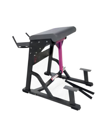 Quality Speed Prone Straight Leg Kickback Machine U+G1004 Proven Power Driven Commercial factory