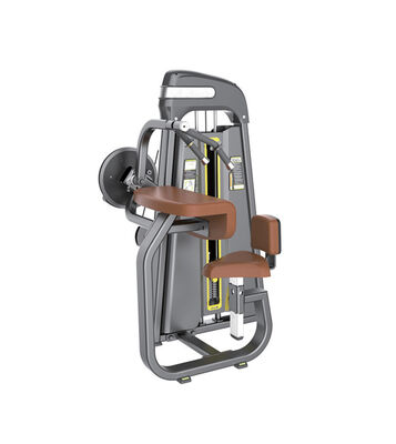 Qualità Macchina per l'estensione del triceps U+B8008 Fabbrica