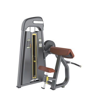 Qualité La machine de curling adaptative pour les biceps U+B8009 conforme à la norme ISO Usine