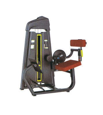 Quality High Precision Seated Back Machine U+B8015 Hinge Based Seated Row Machine factory