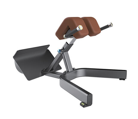 Qualité Chaise romaine ferme U+B8041 Emprise neutre Stable stabilisant convertible de grande capacité Usine